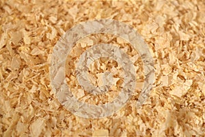 Close up texture of pine wood shavings