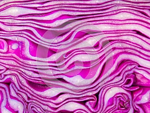 Close up texture of purple cabbage.