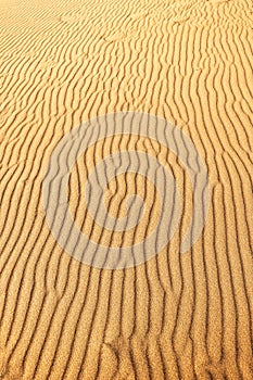 Texture of the rippled surface of the sand and dunes, top view. Desert background