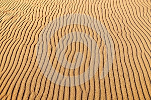 Closeup texture of the rippled surface of the sand and dunes, top view. Desert background