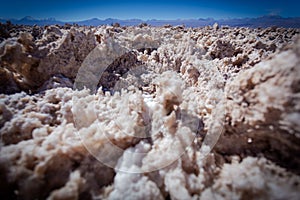 Close up of texture of salt stone at Chaxa lagoon at flamingos national park, Los Flamencos national reserve in Atacama desert,