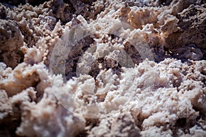 Close up of texture of salt stone at flamingos national park, Los Flamencos national reserve in Atacama desert, (Chile) photo