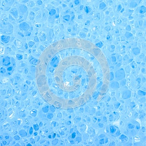 Close-up texture of a sponge