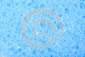 Close-up texture of a sponge