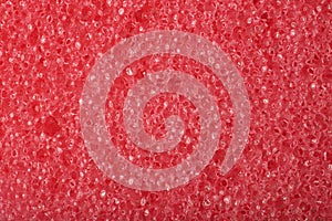 Close-up texture of a sponge