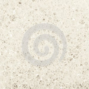 Close-up texture of a sponge