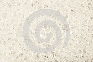 Close-up texture of a sponge