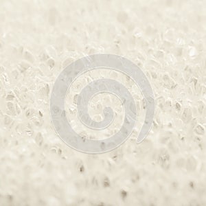 Close-up texture of a sponge