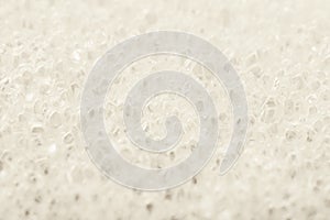 Close-up texture of a sponge