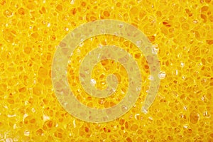 Close-up texture of a sponge