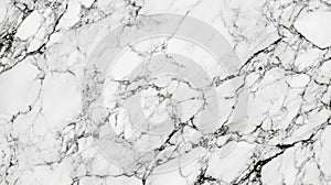 Close-up Texture of White Marble with Black Veins