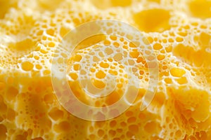 close-up texture of yellow sponge