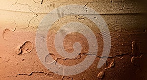 Close-up of a textured, earthen surface,