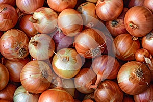 Close up, textured made from pile of fresh onions for sale at a farmers market, top view