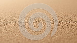 The foreground and background emphasizing the texture and patterns