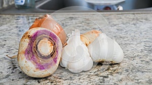 Close up from tfwo garlics, parsley, onion and white turnip resting on kitchen counter