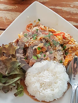 Close-up,Thai food style:& x22;Kaow Moo Tun Pad Thai& x22;fied pork,egg