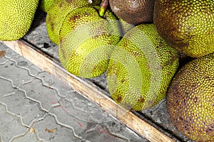 Close up thai jack fruit