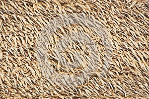 Close up of thatch roof background, Hay or dry grass background, Thatched roof, Grass hay, dry straw, Roof background texture