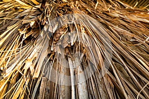 Close up of thatched roof on traditional African hut, Kenya