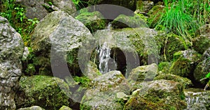 Close up of thin waterfall stream splash, spring water falls and dribbles on rocks covered with green moss.