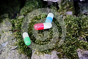 A close up of three different colorful capsules are lying on green fresh moss on a stone