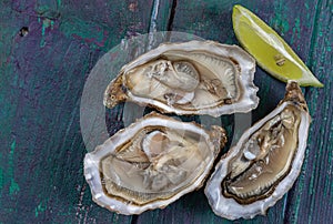 Close up of three oyesters open on wooden background, gourmet macro food photography