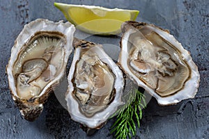 Close up of three oyesters open on wooden background, gourmet macro food photography