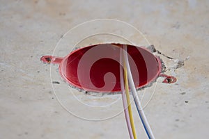 Close-up of a three-phase electrical cable in a junction box