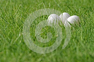 Close-up of three white Easter eggs in green lawn