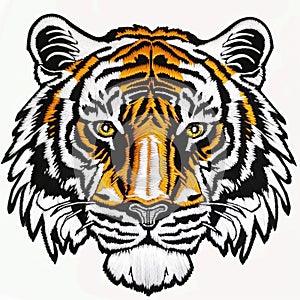 A close up of a tiger& x27;s face on a white background