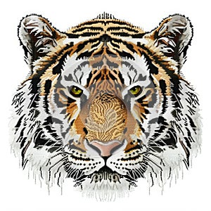 A close up of a tiger's face on a white background Embroidery on white background