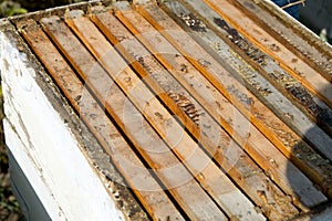 Close up of timber honey bee-keeping box