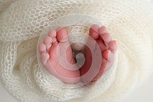 Close-up of tiny, cute, bare toes, heels and feet of a newborn girl, boy.