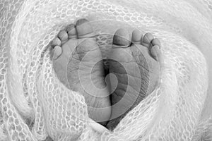 Close-up of tiny, cute, bare toes, heels and feet of a newborn girl, boy.