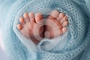 Close-up of tiny, cute, bare toes, heels and feet of a newborn girl, boy. Baby foot on blue soft coverlet, blanket.