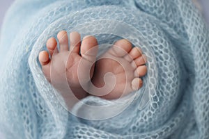 Close-up of tiny, cute, bare toes, heels and feet of a newborn girl, boy. Baby foot on blue soft coverlet, blanket.