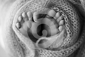 Close-up of tiny, cute, bare toes, heels and feet of a newborn girl, boy. Baby foot on soft coverlet, blanket.