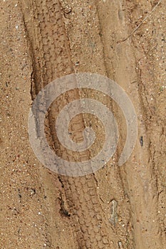 Close up of tire tracks in the sand