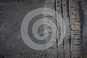 tire tracks truck on a mud