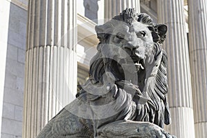 Close up to a guardian lion sculpture at the entrance of madrid congres building with neoclassical pillars architecture style