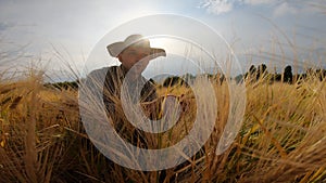 Close up to male farmer sitting at cereal field and examining wheat stalks at summer day. Young agronomist exploring