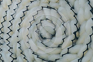 Close up to natural white silkworm cocoon shell in black plastic weave tray.