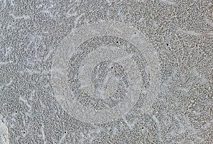 Close up to sand patterns and small sand pellets created by crab on beach. Tiny sand pellets form unique natural pattern around