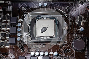 Close up to the thermal paste compound on the top of cpu in the socket. Concept of repairing or upgrading computer hardware