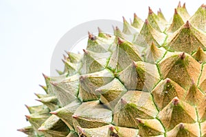 Close up to Thorns of durian