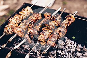 Close up of toasted shashlik on skewers. Succulent barbecue roasting on chargrill. Concept of picnic outdoor