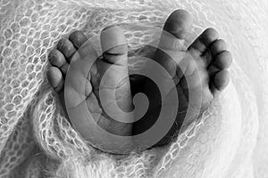 Close up of toes, heels and feet of a newborn. Knitted heart in the legs of baby