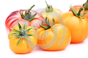 Close up of Tomato varieties of Blue beauty and brandywine yellow