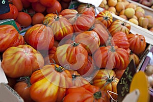 Close-up of tomatoes on display in store